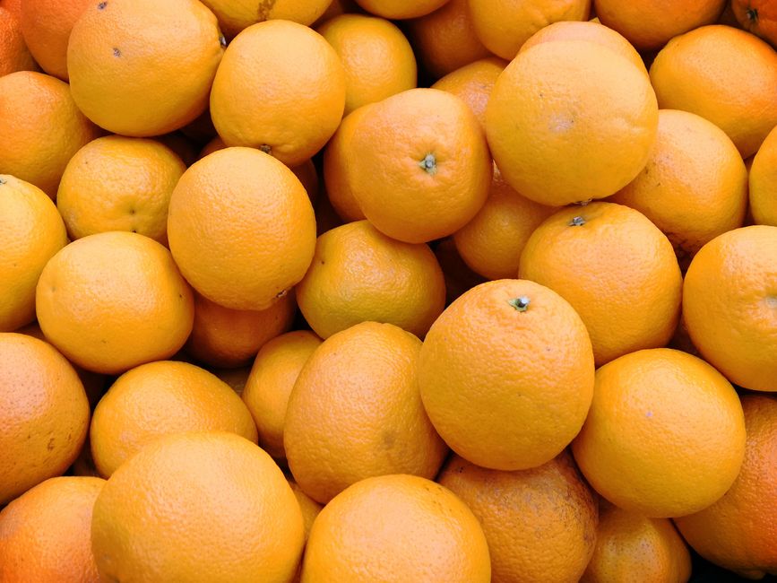 Fresh Orange Shandy