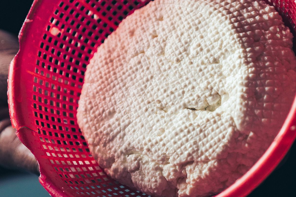 Homemade Cottage Cheese