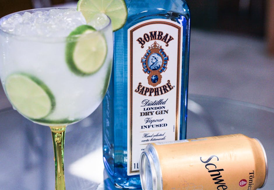 Simple Gin and Tonic
