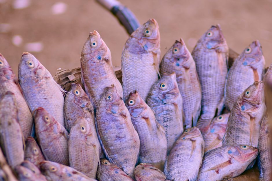 Tilapia with Lemon-Caper Butter Sauce