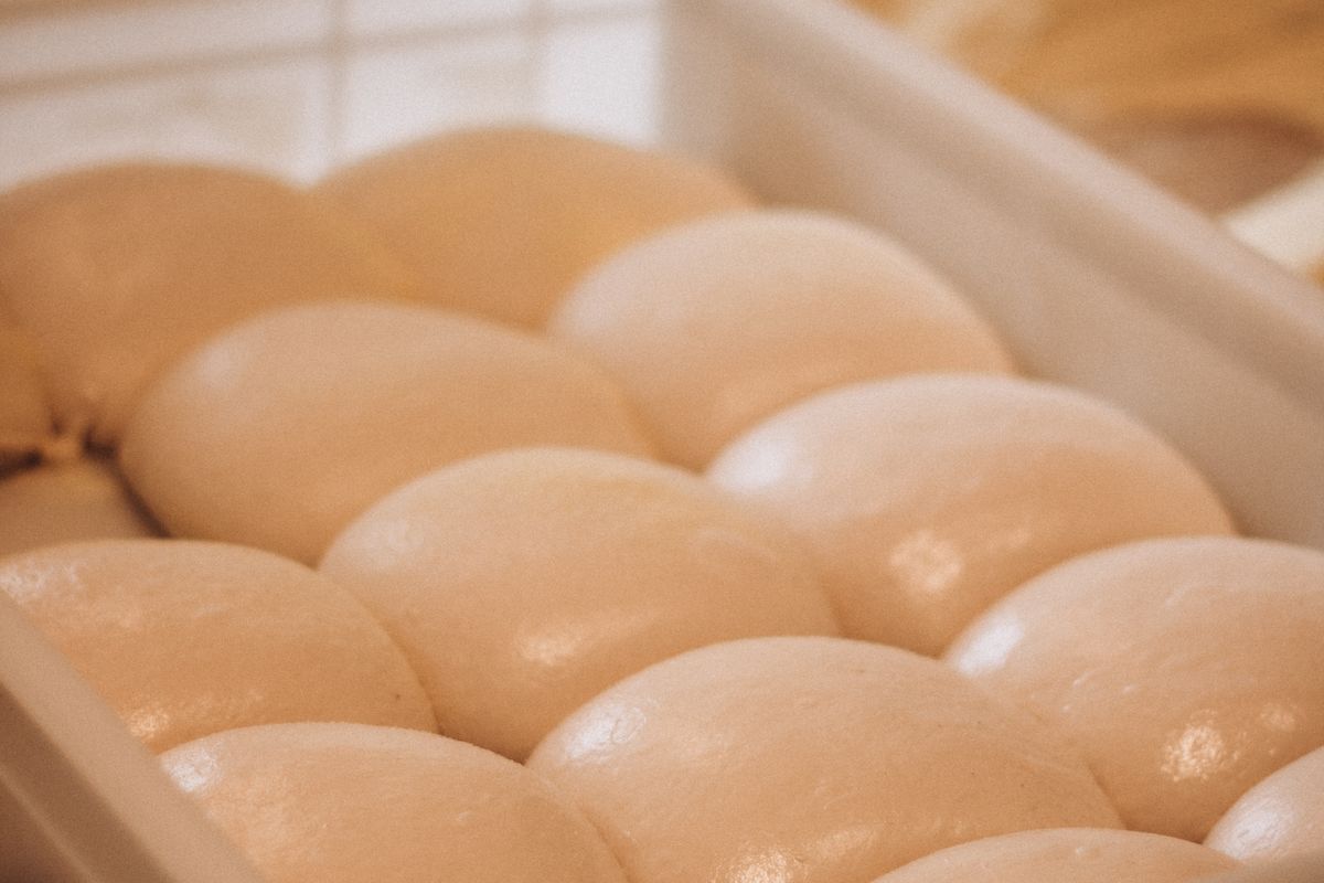 Wood-Fired New York Style Pizza Dough (72-Hour)